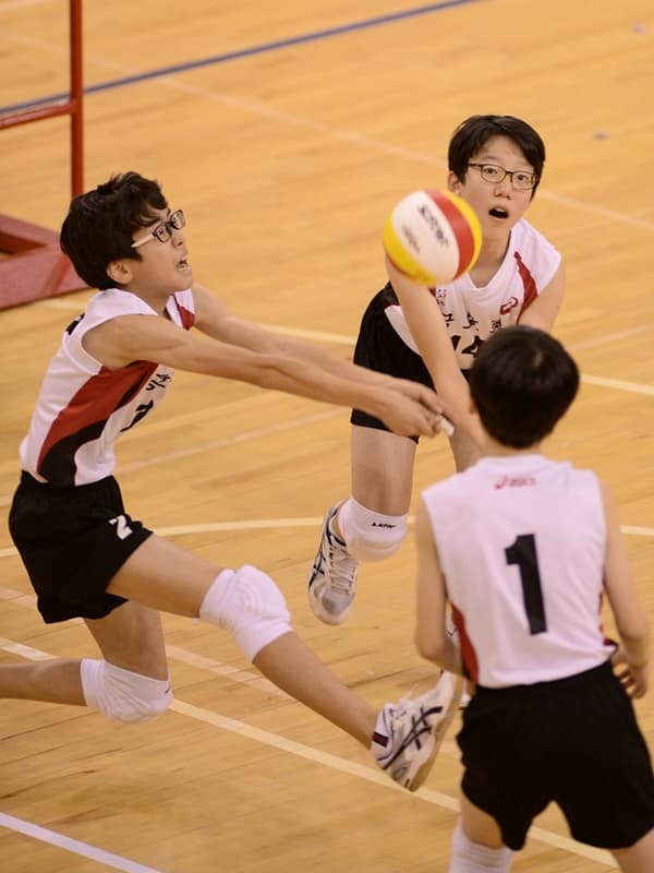 photo-8236