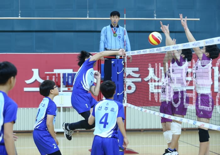 photo-18228