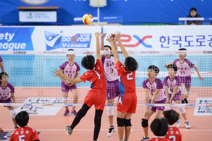 photo-18254