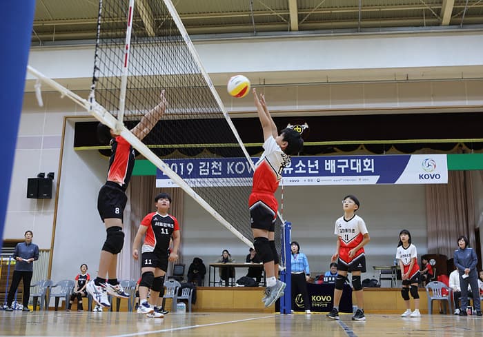 photo-30446