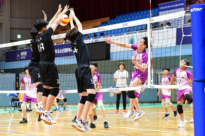 photo-30386