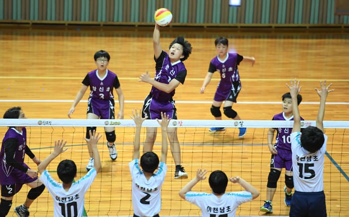 photo-15765