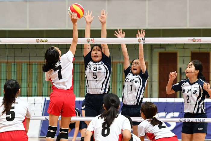 photo-15789