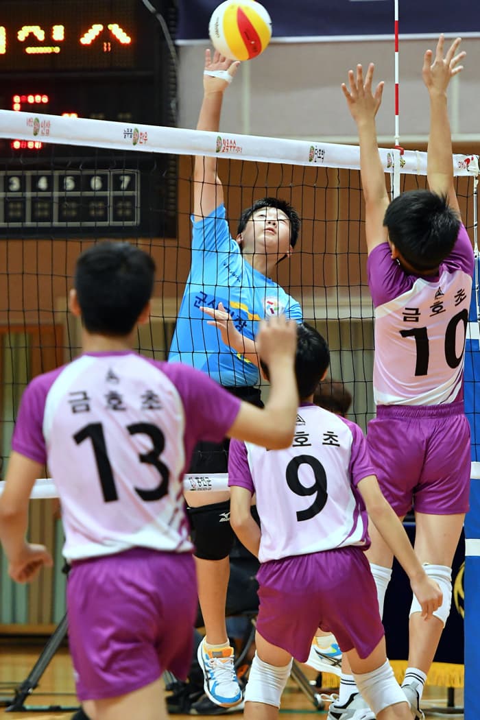 photo-15795