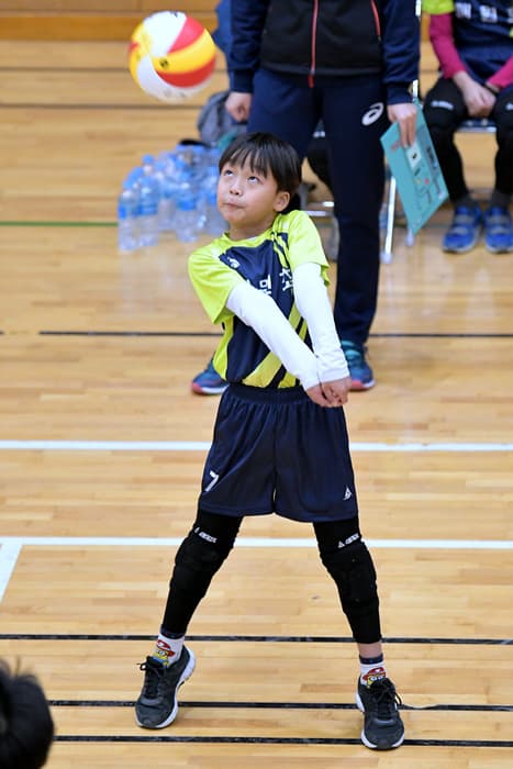 photo-24008