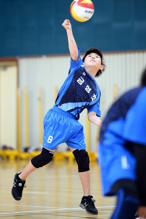 photo-24011
