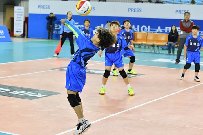 photo-24015