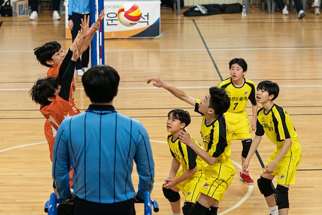 photo-45909