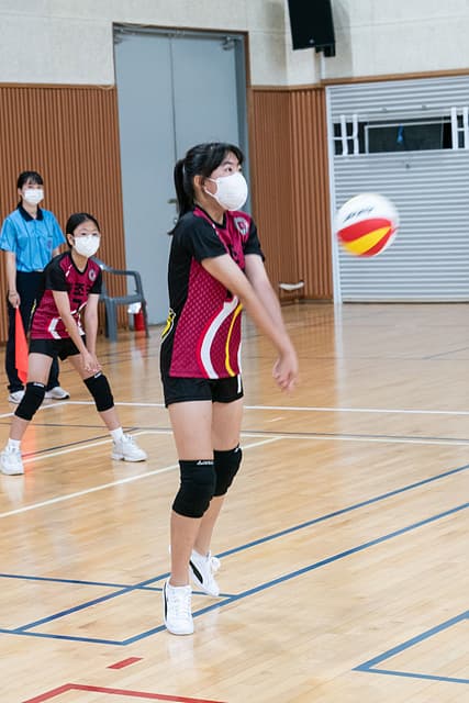 photo-43595