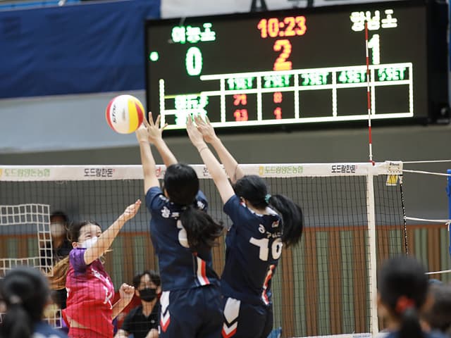photo-43615