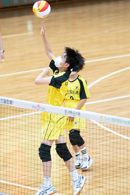 photo-43621